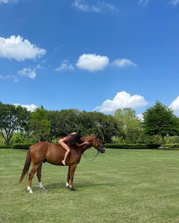 Amelia Chila