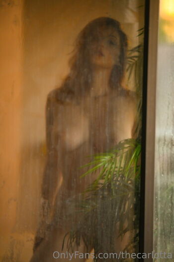 Carlotta Champagne