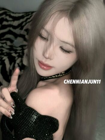 ChenNianjun1