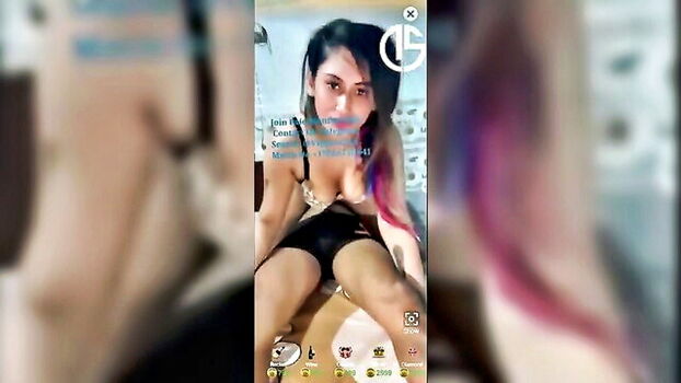 Desi Model