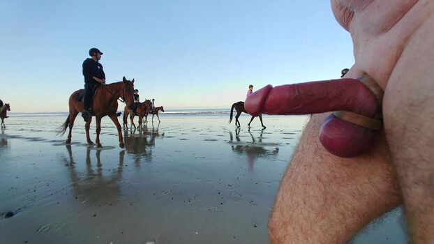 Dick Flash