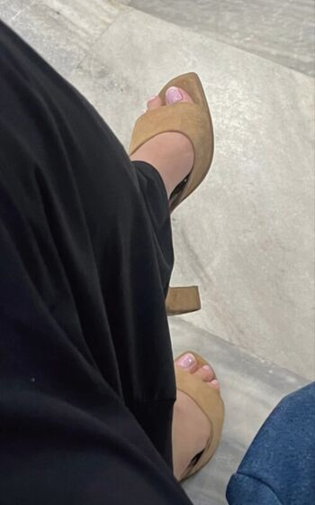 _elnesa