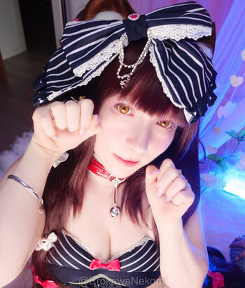 Erokawa Nekomi