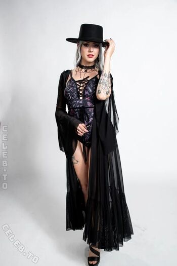 Farbenfuchs