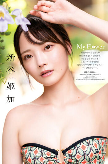 Hime Araya