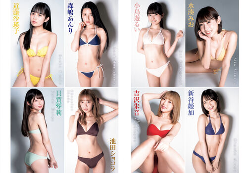 Hime Araya