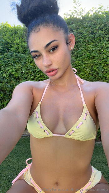 Himynamestee