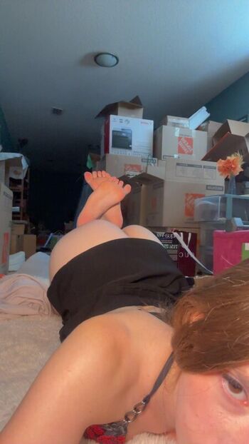 honeybeehost