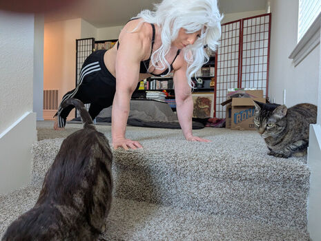 kitty_bit_games