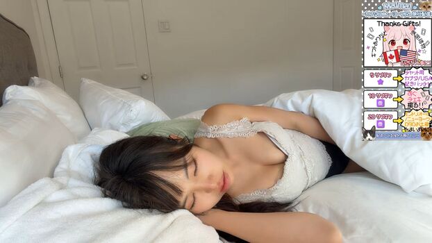 MaiMai まいまい