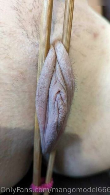Mangomodel666