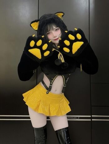 misakitl