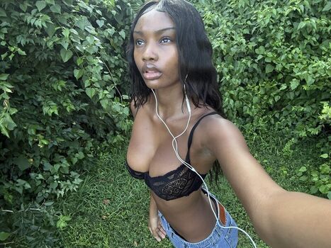 No Tattoos
