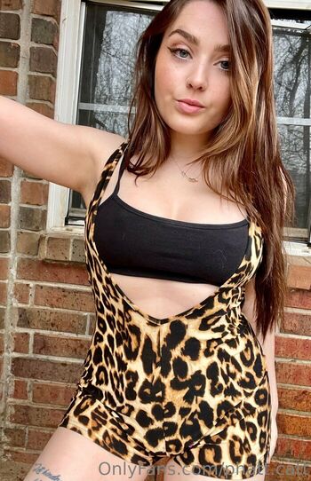 Phatcat