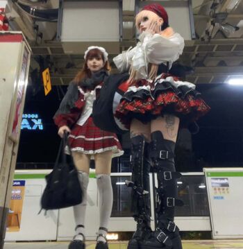 reitoozaru