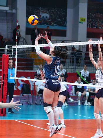 İrem Bozkurt