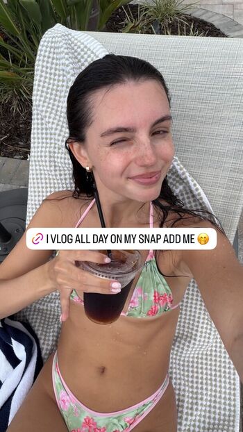 savannah_demers