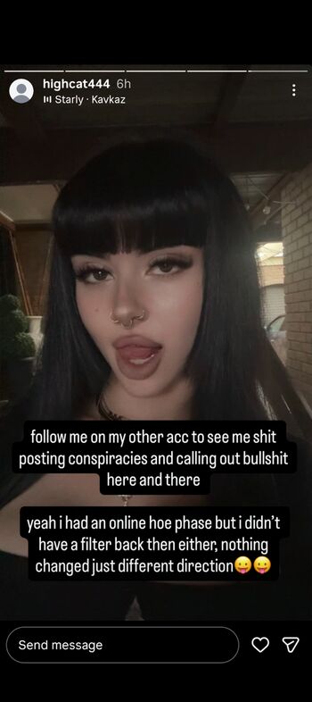 seidorei_kitten