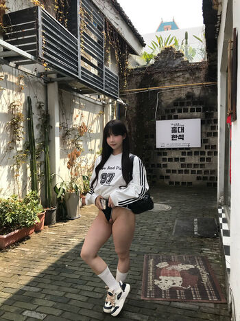 shiliuyelei