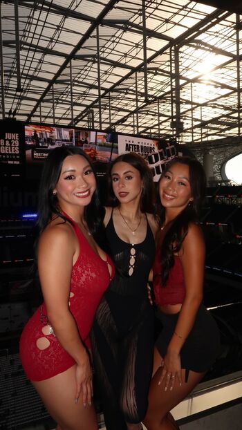 Staceyphan