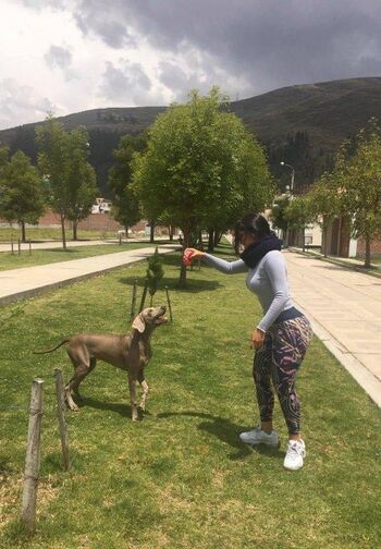 Stephany Rojas Quispe