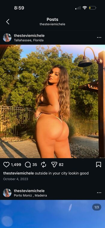 Stevie Michele