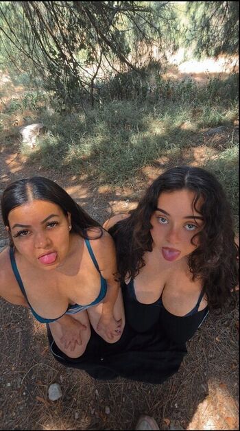 Thicerica19