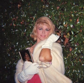 Vintage Sexy Celebs