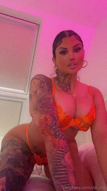 vip_nvr