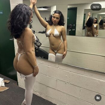 Visual Vixen