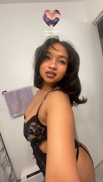 Visual Vixen