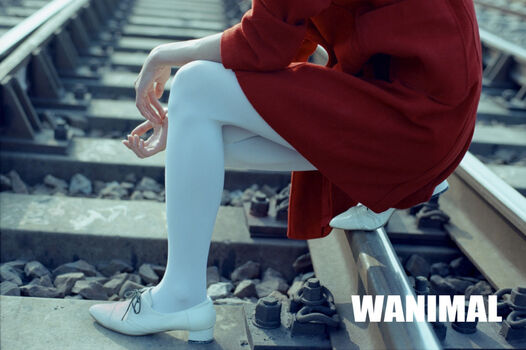 Wanimal Models