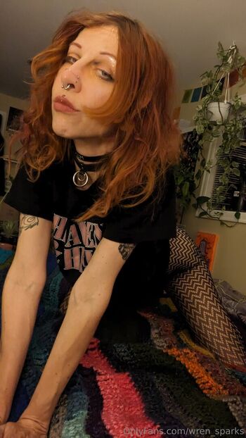wren_sparks
